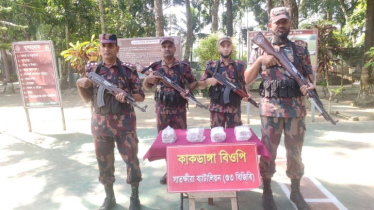 সীমান্ত থেকে ৭ লাখ টাকার ভারতীয় ওষুধ ও মোবাইল যন্ত্রাংশ জব্দ