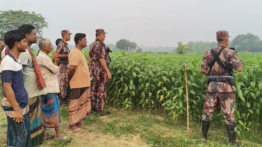 সীমান্তে পুশইন চেষ্টা অব্যাহত রেখেছে বিএসএফ, বারবার রুখে দিচ্ছে বিজিবি