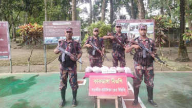শুল্ক ফাঁকি দিয়ে চোরাই পথে এলো ওষুধ-জিরা, জব্দ করলো বিজিবি