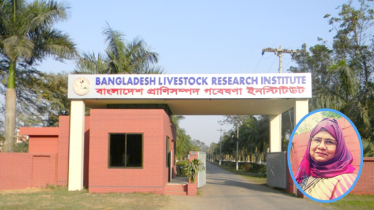কৃষক শক্তির মানববন্ধন: বিএলআরআই গবেষক ড. নাসরিনের প্রতিক্রিয়া