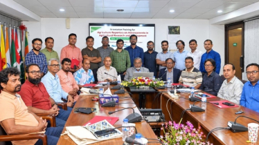 ৫২ বছরে দেশে আবাদি জমি কমেছে ৩০ শতাংশ