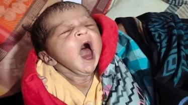 ঝোপ থেকে উদ্ধার কন্যাশিশুর দায়িত্ব নিতে চায় ১২৩ পরিবার! 
