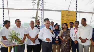 ময়লার ভাগাড় থেকে দৃষ্টিনন্দন বাগান: ডিসি ফরিদার উদ্যোগের প্রশংসা প্রধানমন্ত্রীর