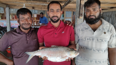 ২ কেজি ১০০ গ্রামের ইলিশ বিক্রি হলো ৭ হাজার ২০০ টাকায়