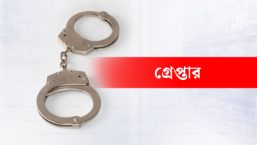 গৃহকর্মীকে ২ বছর নির্যাতনের অভিযোগ, ধানমন্ডিতে দম্পতি আটক