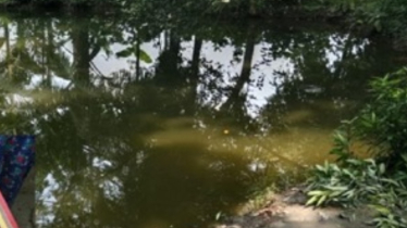 কলারোয়ায় পানিতে ডুবে দুই সহোদরের মৃত্যু