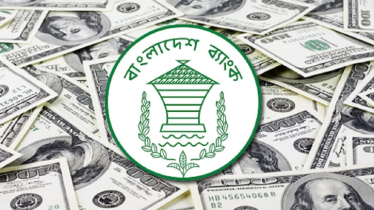 দেশের অর্থনীতিতে সুবাতাস, ৩ দিনে রেমিট্যান্স এলো ২৫৩৩ কোটি টাকা