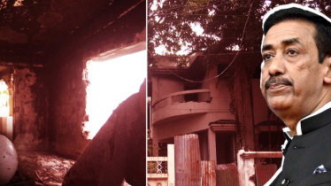 শামীম ওসমানের ডুপ্লেক্স বাড়ি এখন পাখির বাসা!