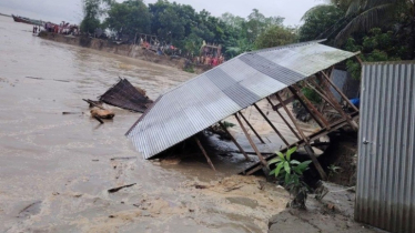 পদ্মার ভয়াবহ ভাঙনে আবারও অনিশ্চয়তার মুখে নড়িয়ার সুরেশ্বর এলাকা