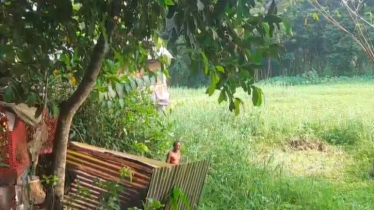 খেলতে গিয়ে শিশু নিখোঁজ, ছয় ঘণ্টা পর পাওয়া গেল বস্তাবন্দী গলাকাটা মরদেহ
