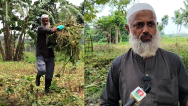 স্কুটিতে দা-গ্লাভস-গামবুট পরে পথের আগাছা কাটেন টিপু সুলতান