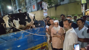 জুলাই শহীদ পরিবারের পাশে দাঁড়ালেন এমপি মনিরুল হক চৌধুরী