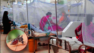 ডেঙ্গুতে একদিনে আরও ৮ জনের প্রাণহানির তথ্য মিললো