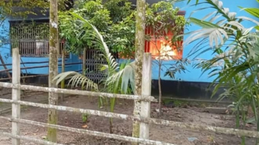 কলেজছাত্র রোহান হত্যা: গ্রেফতার ৩, আসামিদের বাড়িঘরে অগ্নিসংযোগ