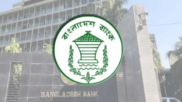 টানা তৃতীয় দিনের মতো বন্ধ কেন্দ্রীয় ব্যাংকের ওয়েবসাইট