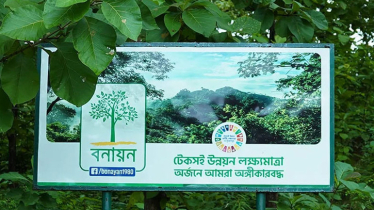 চারা থেকে সবুজ ভবিষ্যৎ: ৪৬ বছর ধরে বনায়নের পথচলা