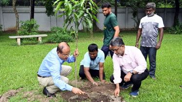 ঢাবি উপাচার্যের বাসভবন প্রাঙ্গণে শতাধিক বৃক্ষ রোপণ