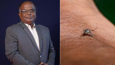 ডেঙ্গু: বাড়ছে আতঙ্ক, বাড়ছে ভয়, কতটা প্রস্তুত আমরা? ডেঙ্গু: বাড়ছে আতঙ্ক, বাড়ছে ভয়, কতটা প্রস্তুত আমরা?