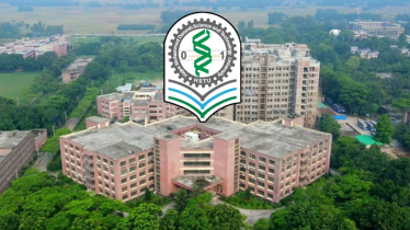 প্রধানমন্ত্রী স্বর্ণপদক পাচ্ছেন হাবিপ্রবি’র ১৬ শিক্ষার্থী 