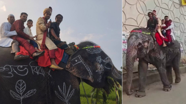 মায়ের ইচ্ছা পূরণ করতে হাতির পিঠে চড়ে বিয়ে করতে গেলেন সাকিব