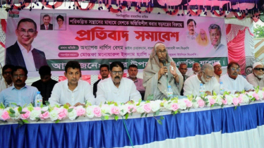 দেশে স্থিতিশীল গণতান্ত্রিক পরিবেশ বজায় রাখতে কাজ করছে সরকার: অধ্যাপক নার্গিস