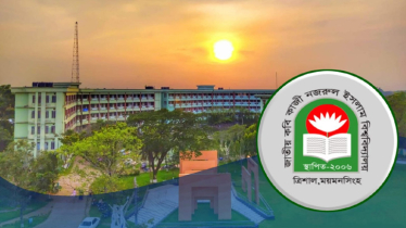নজরুল বিশ্ববিদ্যালয়ে ১০ মাস পর সিন্ডিকেট সভা, আলোচনায় যেসব সিদ্ধান্ত