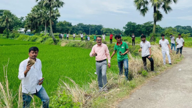 বজ্রপাত রোধে কুমিল্লায় ৫ হাজার তালবীজ রোপণ কর্মসূচি