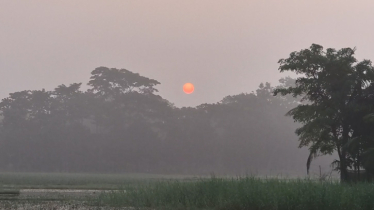 নভেম্বরের মাঝামাঝি বাড়তে পারে শীতের অনুভূতি, তীব্র হবে কবে?