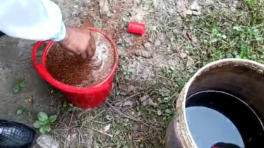 চাঁপাইনবাবগঞ্জে ককটেল বিস্ফোরণের পর অবিস্ফোরিত আরও ১১টি উদ্ধার