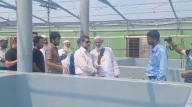 নবায়নযোগ্য বিদ্যুতে নতুন সম্ভাবনা, শ্যামনগরে বসছে সুবিশাল সৌর প্যানেল
