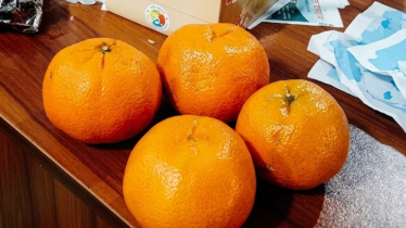 মাদ্রাসার ৪ কমলা বিক্রি হলো ৫০ হাজার টাকায়!