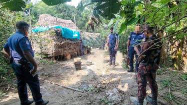 সীমান্তে খড়ের নিচে লুকানো কালো বালতি, উদ্ধারে মিললো ১৯ ককটেলসদৃশ বস্তু