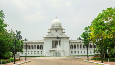 জাতীয় পতাকার মর্যাদা রক্ষায় কমিটি গঠন 