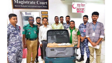 বিমানবন্দরে ১১৬৩ কচ্ছপসহ আটক ১