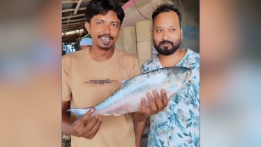 জেলের জালে ধরা পড়লো প্রায় ২ কেজির ইলিশ, দাম উঠলো কতো?