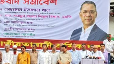 বিএনপি ক্ষমতায় এলেই অপশক্তি বিরোধিতা শুরু করে: নজরুল ইসলাম খান