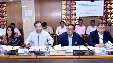 ওয়েজ বোর্ডসহ সাংবাদিকদের অধিকার বাস্তবায়নে কাজ করছে সরকার: তথ্য প্রতিমন্ত্রী