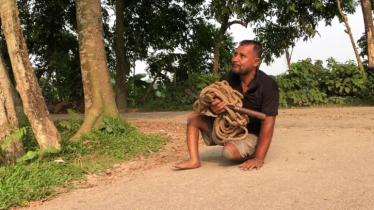 দুই পায়ে হাঁটতে না পারা কামাল জীবিকার তাগিদে ওঠেন গাছের মগডালে!