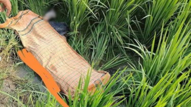 বান্ধবীর সঙ্গে কক্সবাজার, ফেরার পথে নিখোঁজ; অতঃপর...