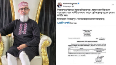 উন্নয়ন প্রকল্পের কৃতিত্ব নিয়ে বিতর্ক, মাসুদ সাঈদীর ফেসবুক পোস্ট ঘিরে সমালোচনা