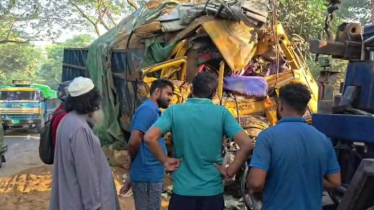 ভোরের আলো ফোটার আগেই নাটোরের সড়কে ঝরলো ১৪ প্রাণ