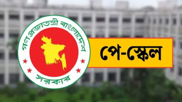 জাতীয় পে স্কেল-২০২৬: যেসব ভাতার হার কমলো