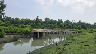 বন-জলাশয় ঘেঁষে স্থাপনা, হুমকিতে গঙ্গামতির প্রকৃতি ও জীববৈচিত্র্য
