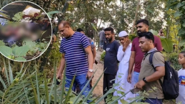 রাজবাড়ীর পাংশায় পুকুর থেকে নবজাতকের মরদেহ উদ্ধার 