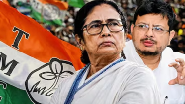 তৃণমূলের নাম-প্রতীক ‘ফ্রিজ’ করলো ভারতের নির্বাচন কমিশন