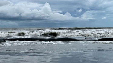 ৩ দিনের মধ্যে লঘুচাপ সৃষ্টির আশঙ্কা 