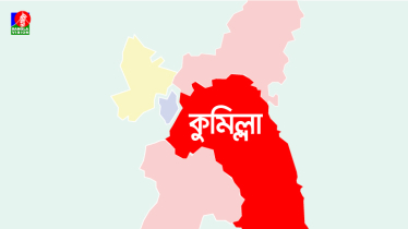কুমিল্লায় রাতভর পুলিশের বিশেষ অভিযান, ৬২৪ বখাটে আটক