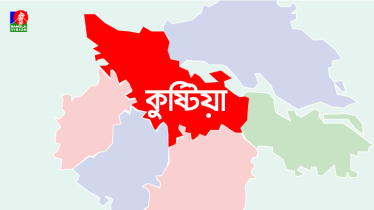 কুষ্টিয়ায় ট্রাক, সিএনজি ও মোটরসাইকেলের ত্রিমুখী সংঘর্ষ, নিহত ১   