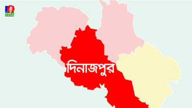 বড় ভাইয়ের লাঠির আঘাতে প্রাণ গেল ছোট ভাইয়ের!