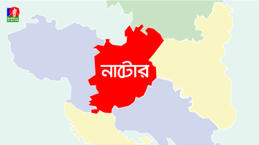 বাড়ির আঙিনায় খেলছিল আপন ভাই-বোন; পুকুরে ডুবে গেল প্রাণ!